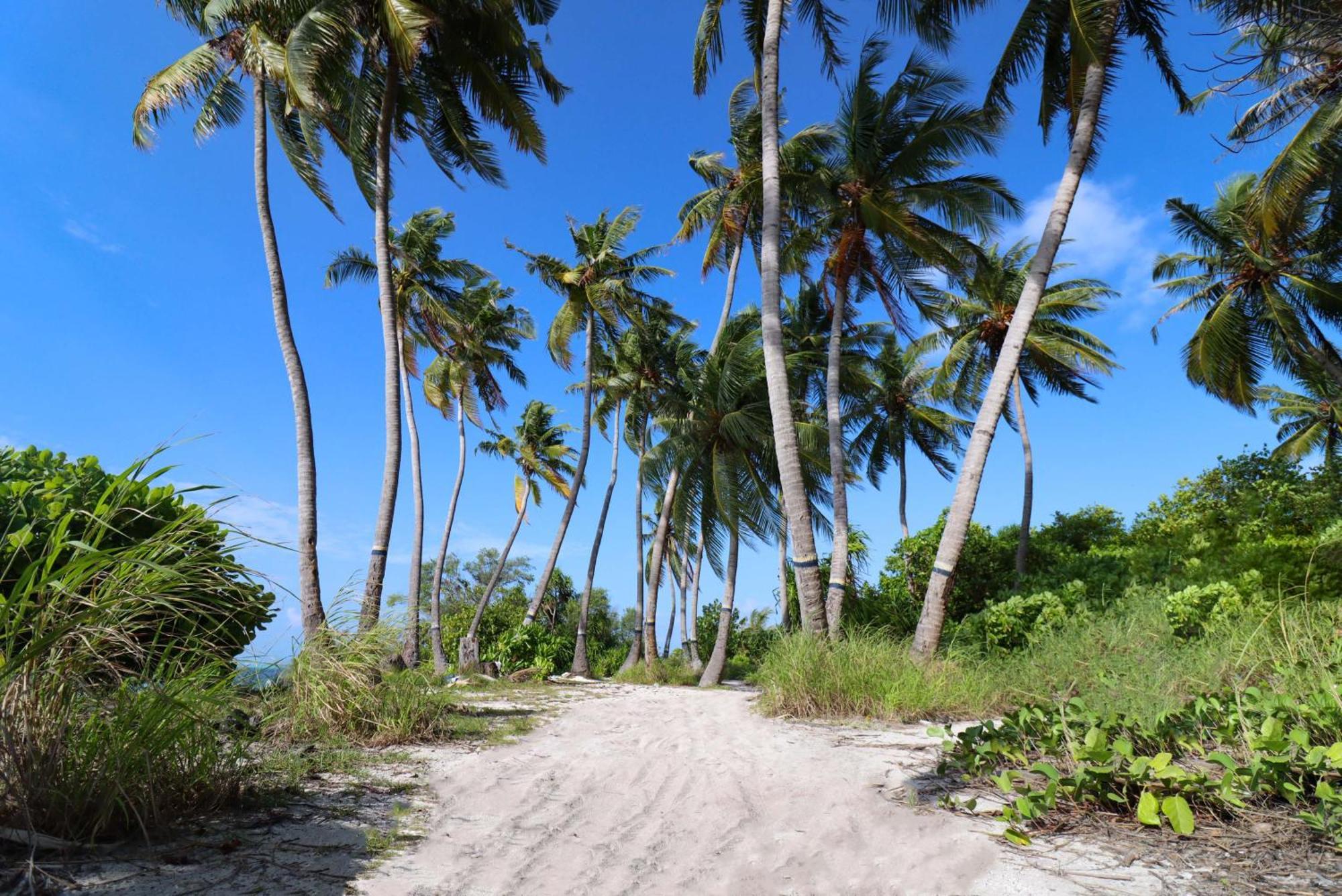 Rashu Hiyaa Hotel Dhiffushi Exterior photo